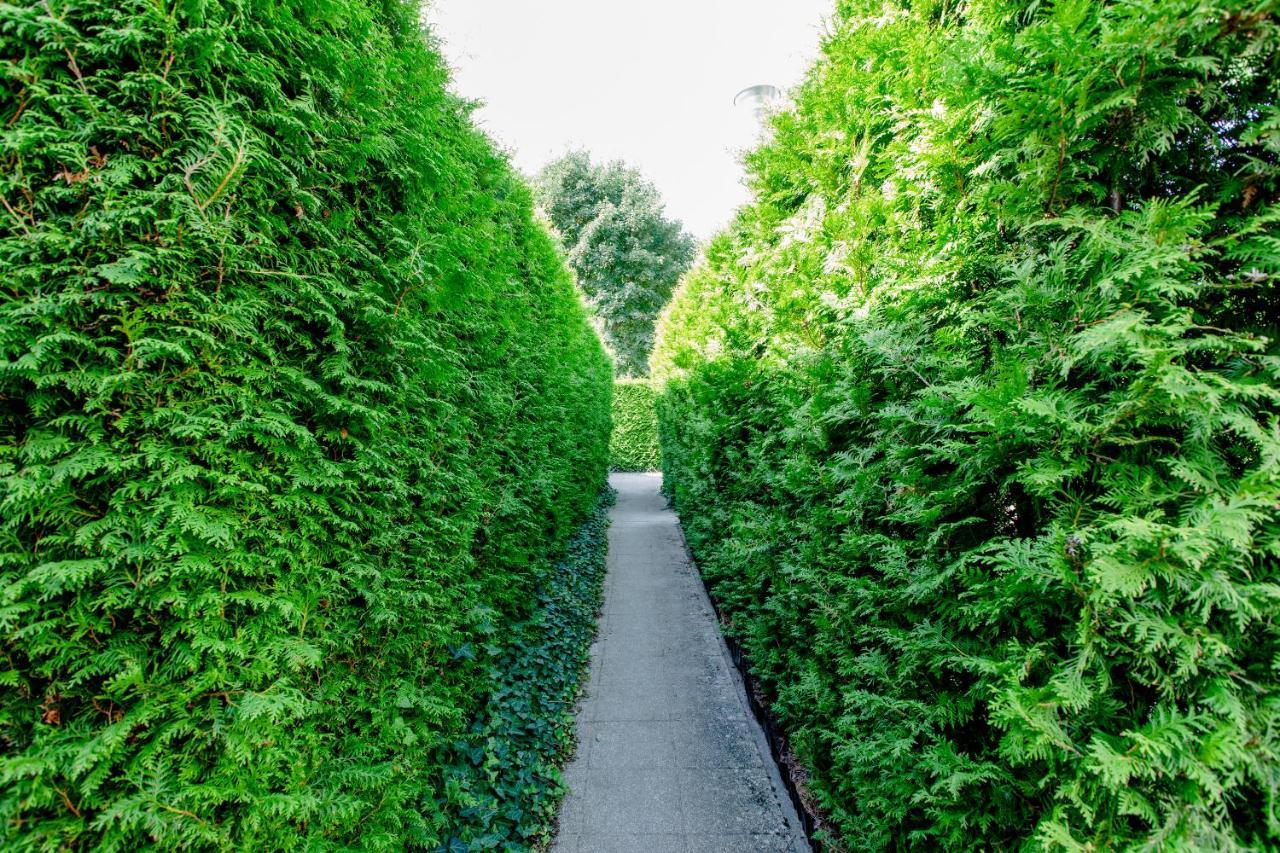 Poludniowy Nad Morzem Gardenia Epapartamenty *